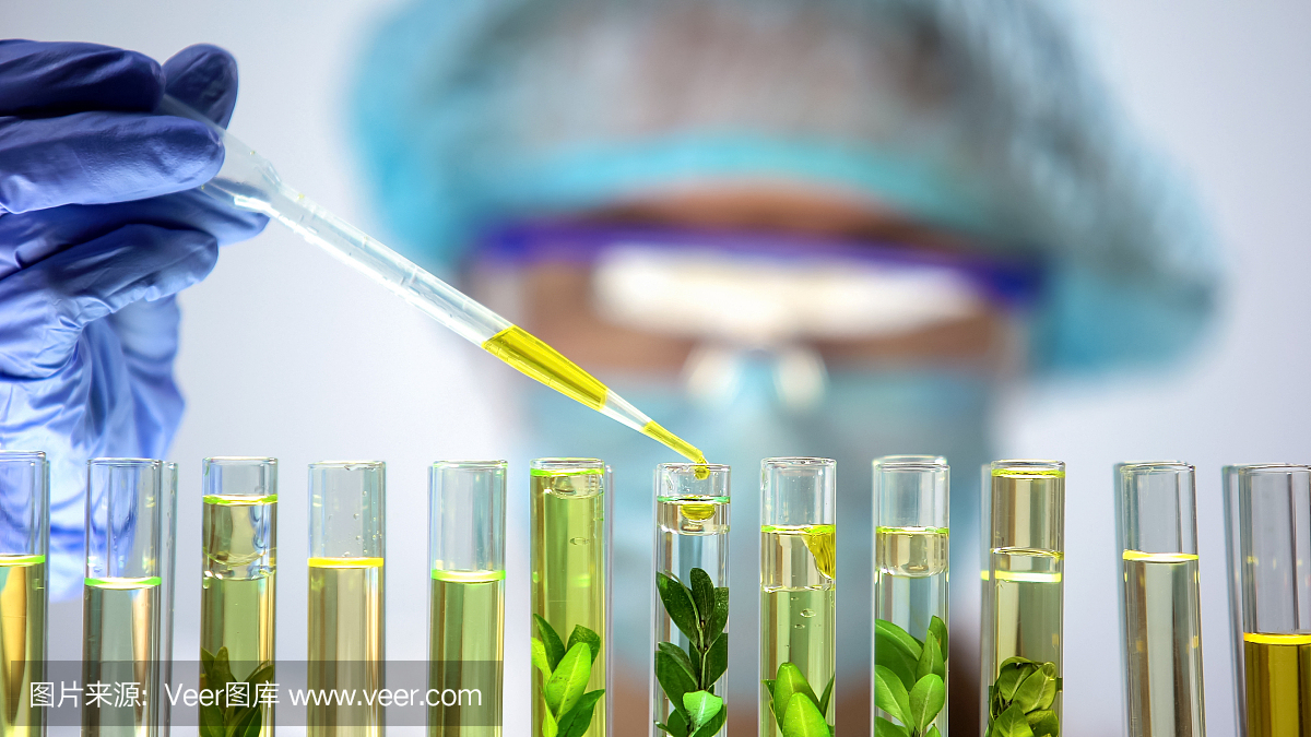 生物化学家用绿色植物将黄色物质滴入试管,提取